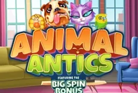 Animal Antics