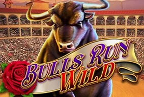 Bulls Run Wild
