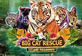 Big Cat Rescue Megaways